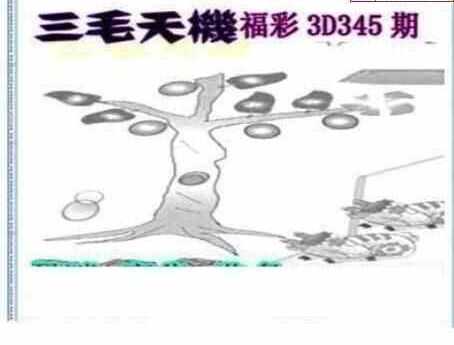 23345期: 三毛3D精品图谜