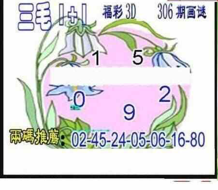 23306期: 三毛3D精品图谜