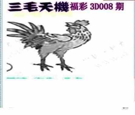 24008期: 三毛3D精品图谜