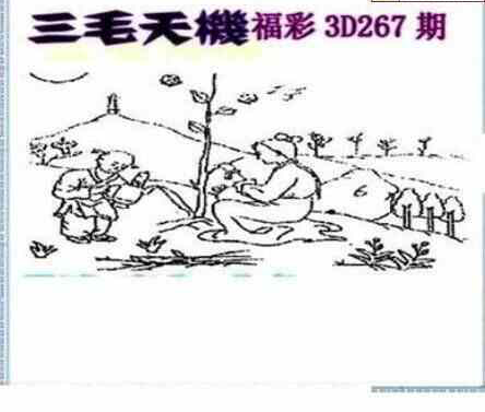 23267期: 三毛3D精品图谜