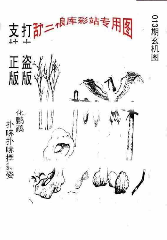 23013期: 老村长福彩3D天天图谜