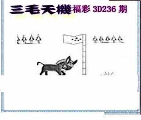 23236期: 三毛3D精品图谜