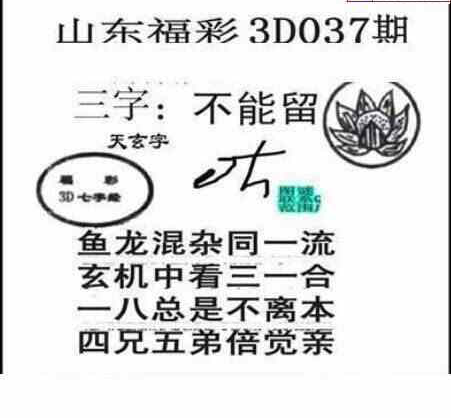 24037期: 三毛3D精品图谜