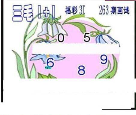 23263期: 三毛3D精品图谜