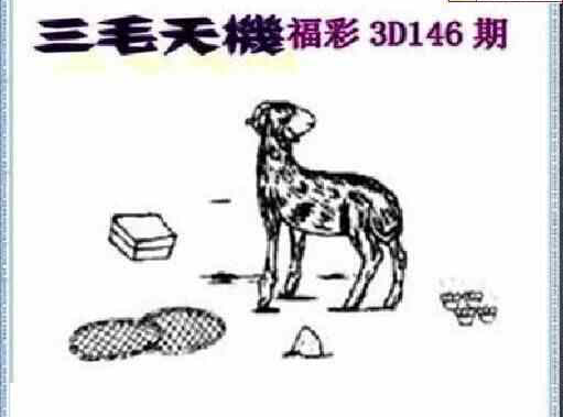 23146期: 三毛3D精品图谜