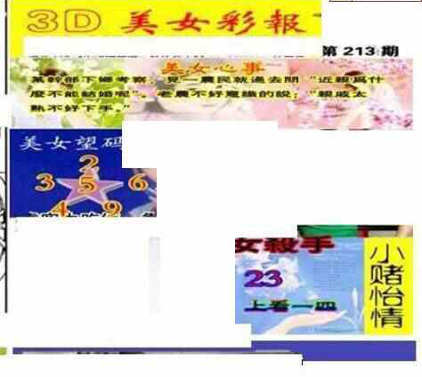 23213期: 三毛3D精品图谜