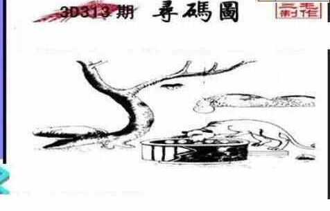 23313期: 三毛3D精品图谜