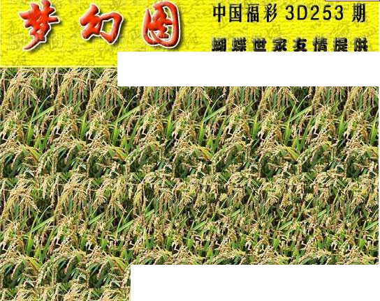 23253期: 3D蝴蝶世家蝴蝶彩图