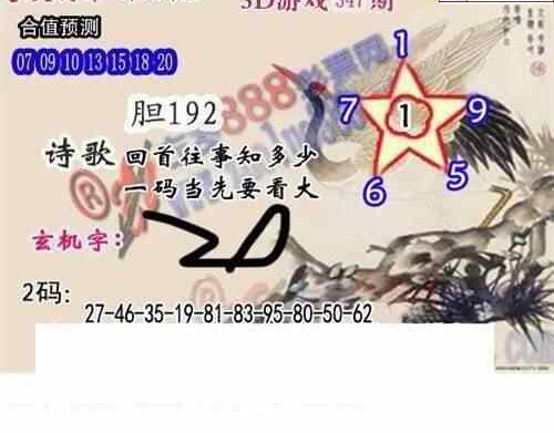 22347期: 白老3D杀码图版