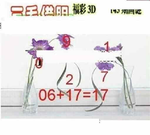 23145期: 三毛3D精品图谜