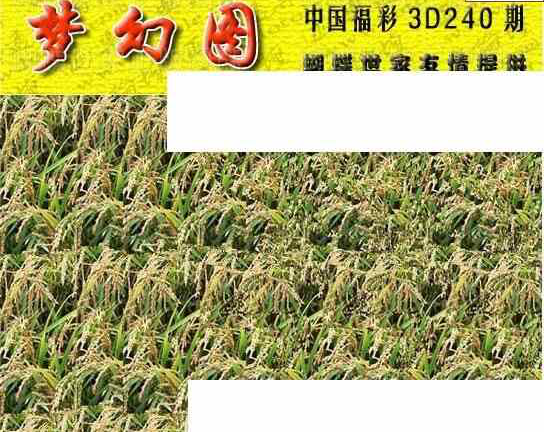 23240期: 3D蝴蝶世家蝴蝶彩图