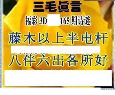 23165期: 三毛3D精品图谜