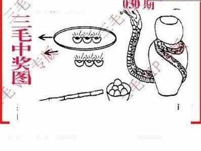 23030期: 三毛3D精品图谜