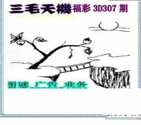 23307期: 三毛3D精品图谜