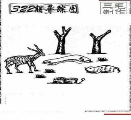 23322期: 三毛3D精品图谜