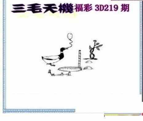 23219期: 三毛3D精品图谜