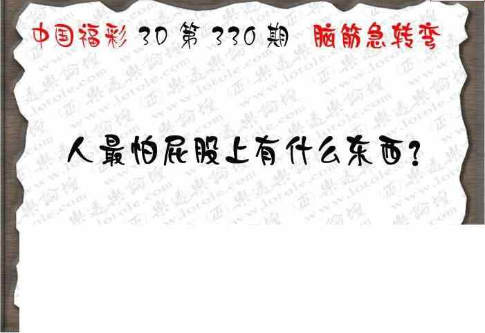 23330期: 3D蝴蝶世家蝴蝶彩图