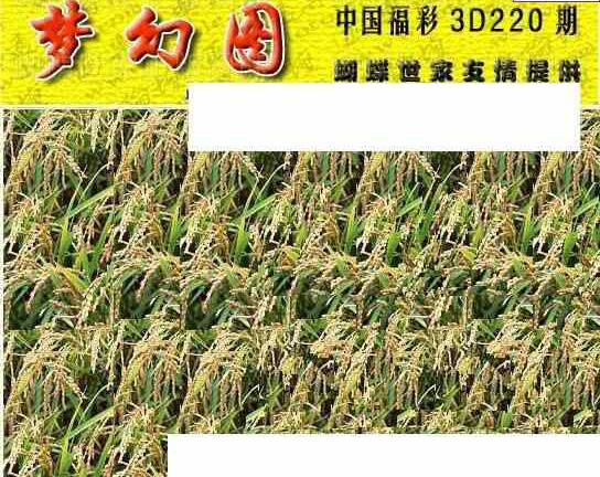 23220期: 3D蝴蝶世家蝴蝶彩图