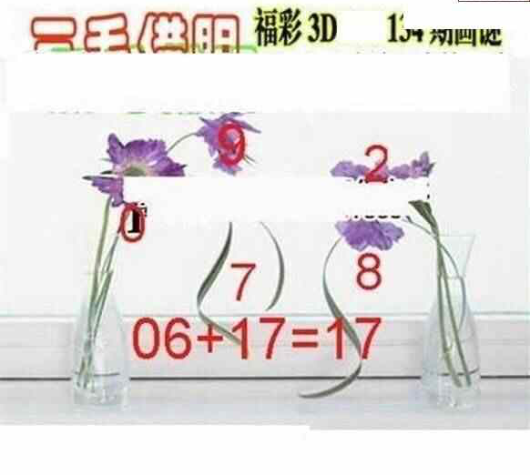 23134期: 三毛3D精品图谜