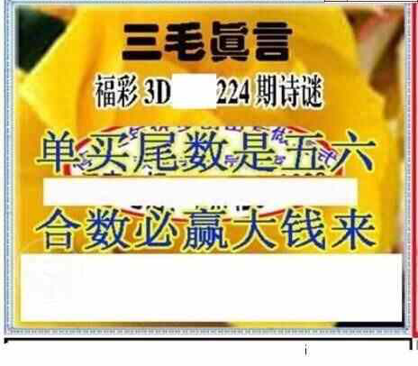 23224期: 三毛3D精品图谜