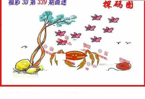 23339期: 福彩3D丹东全图分析