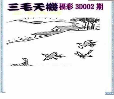 23002期: 三毛3D精品图谜