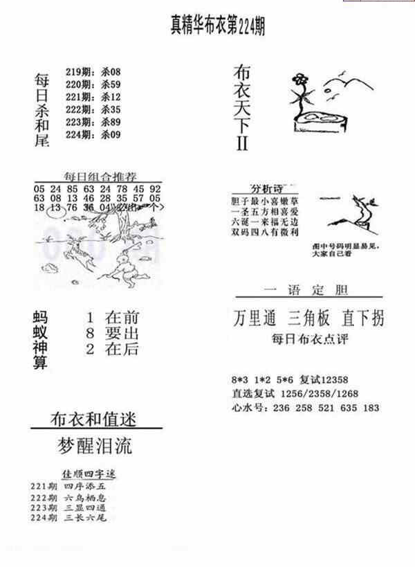 23224期: 福彩3D全套图版参考