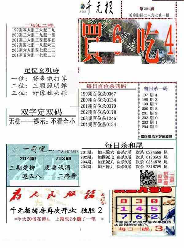 23204期: 福彩3D全套图版参考