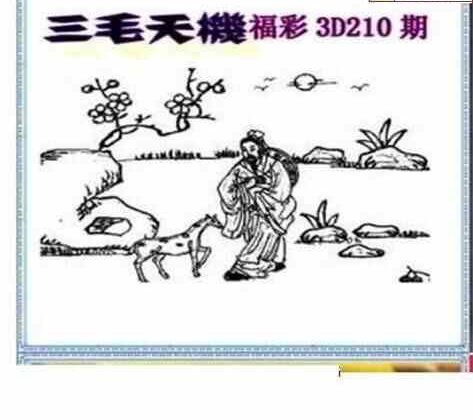 23210期: 三毛3D精品图谜