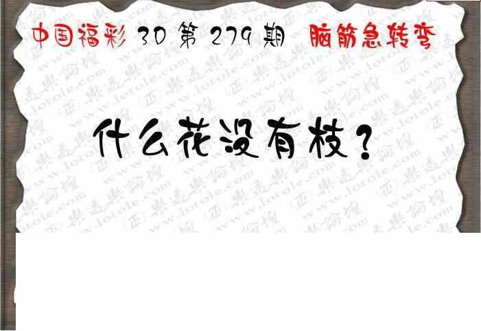 23279期: 3D蝴蝶世家蝴蝶彩图