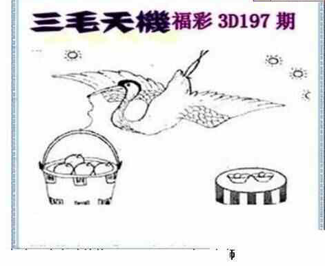 23197期: 三毛3D精品图谜