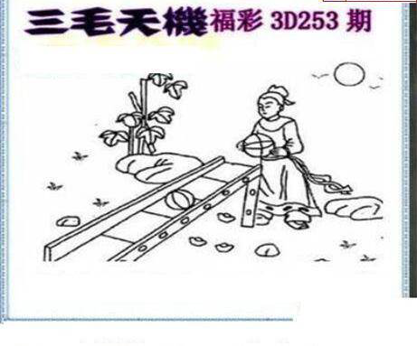 23253期: 三毛3D精品图谜