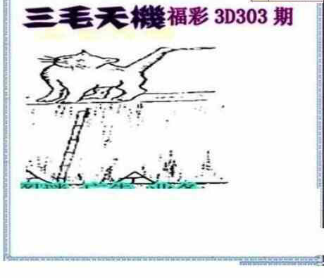 23303期: 三毛3D精品图谜