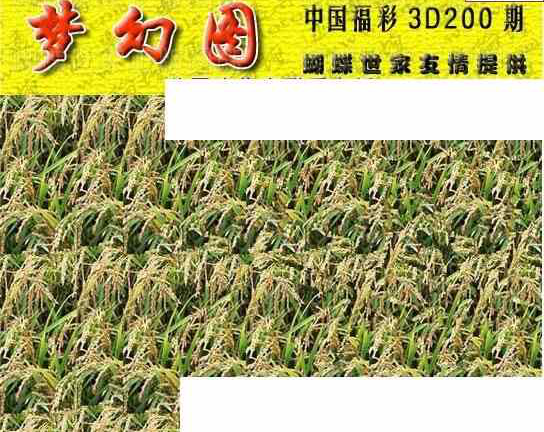 23200期: 3D蝴蝶世家蝴蝶彩图