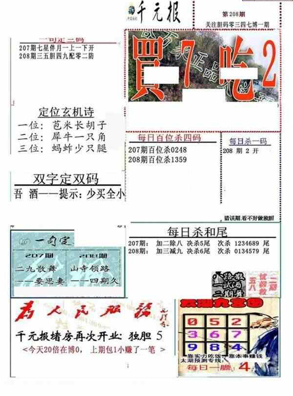 23208期: 福彩3D全套图版参考