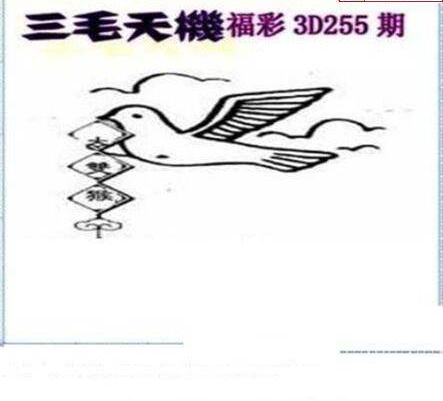 23255期: 三毛3D精品图谜