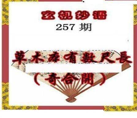 23257期: 三毛3D精品图谜