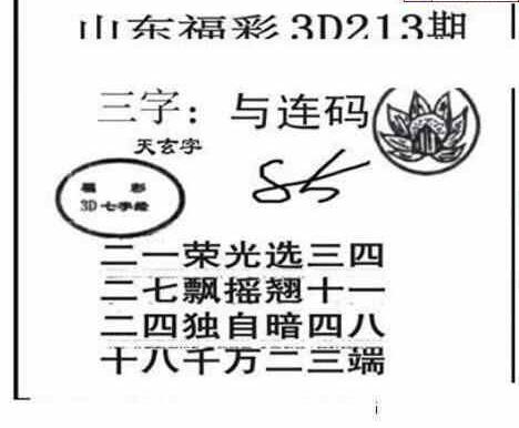 23213期: 三毛3D精品图谜