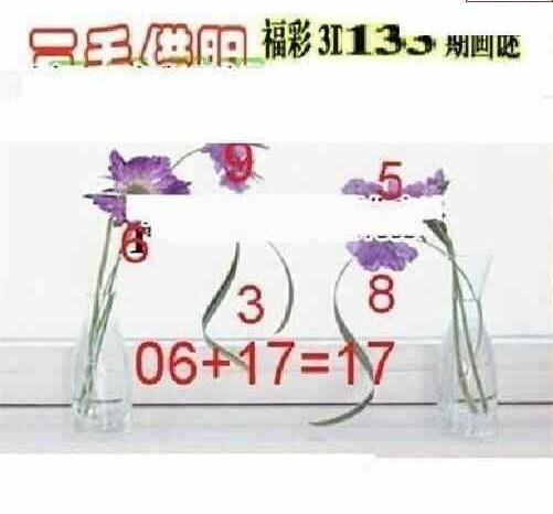 23133期: 三毛3D精品图谜