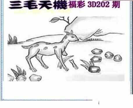 23202期: 三毛3D精品图谜