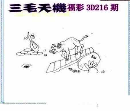 23216期: 三毛3D精品图谜