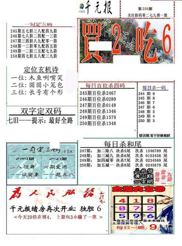 23250期: 福彩3D全套图版参考