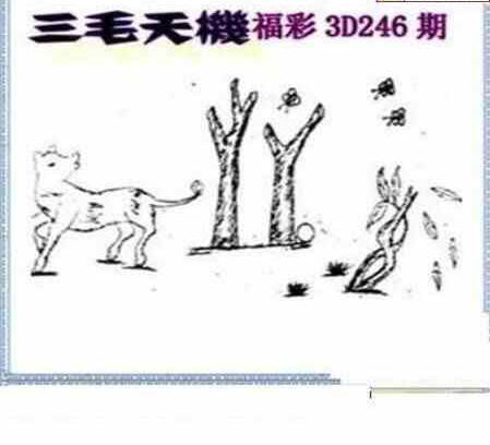 23246期: 三毛3D精品图谜