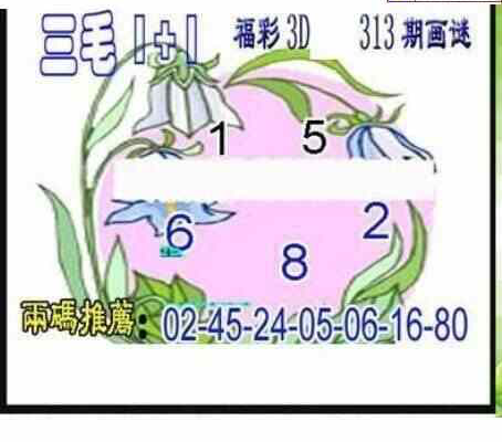 23313期: 三毛3D精品图谜