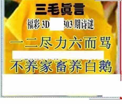 23303期: 三毛3D精品图谜