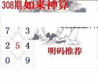 23308期: 白老3D杀码图版