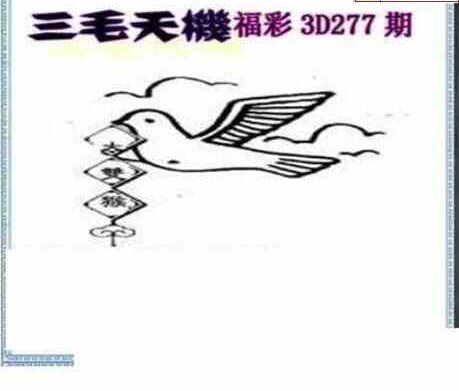 23277期: 三毛3D精品图谜