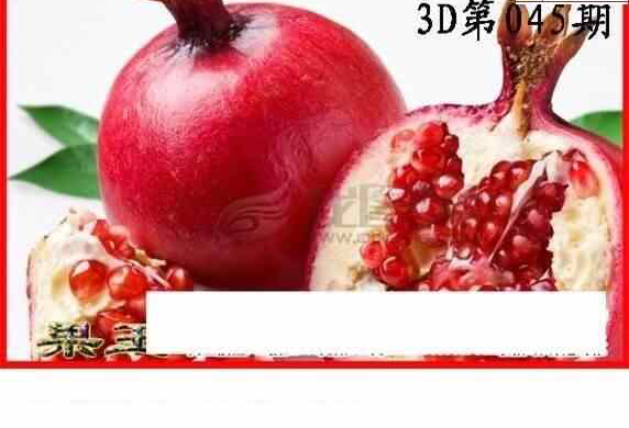 23045期: 白老3D杀码图版