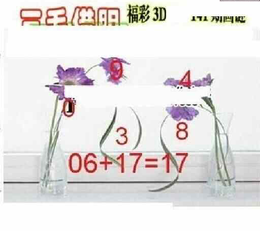 23141期: 三毛3D精品图谜