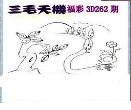 23262期: 三毛3D精品图谜